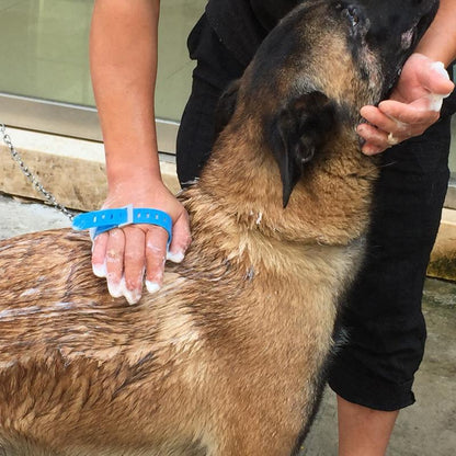 Multi-function Pet Shower