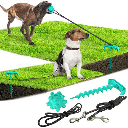 Outdoor dog toy