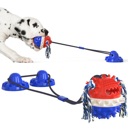 Strong Suction Cup Dog Toy