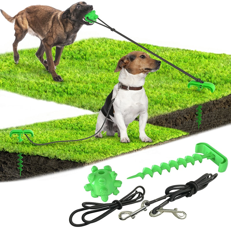 Outdoor dog toy