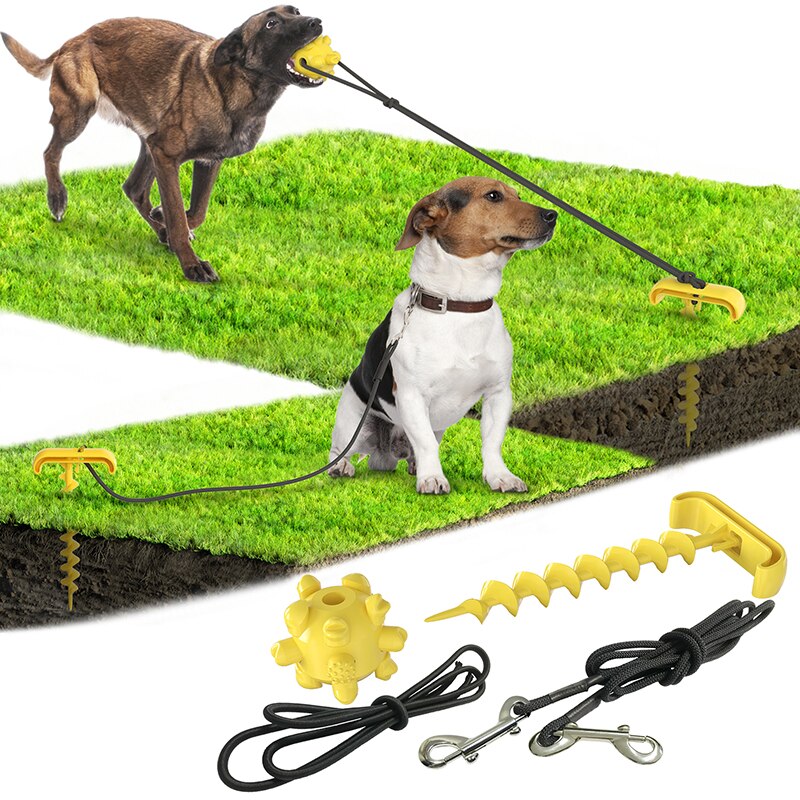 Outdoor dog toy